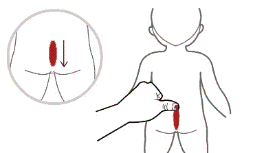 7.gif