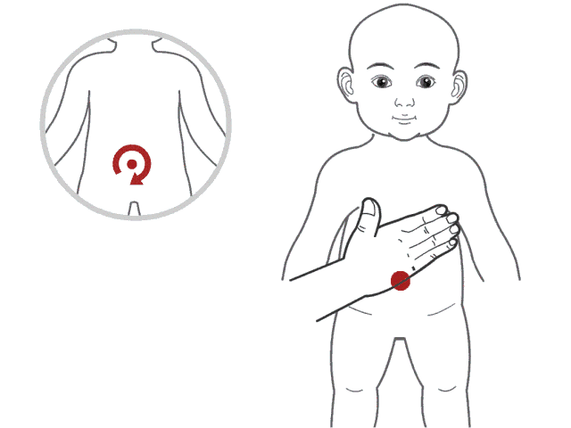 12.gif