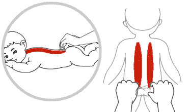 9.gif