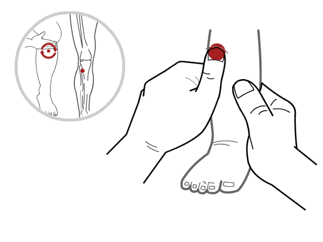 10.gif